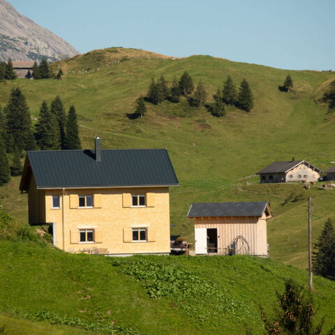 Holzbau Natter Fassaden