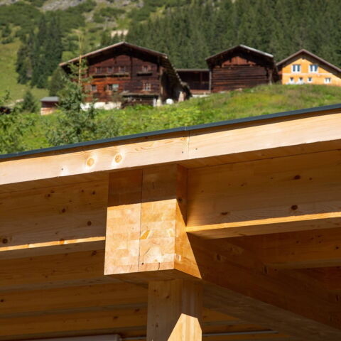 Holzbau Natter - Carport