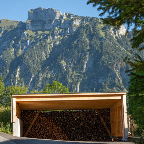 Holzbau Natter - Carport